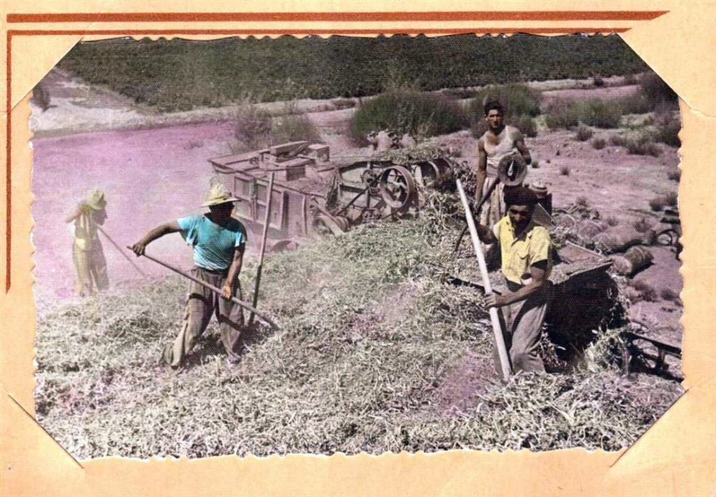 Angel, Antonio y Falucho Martínez